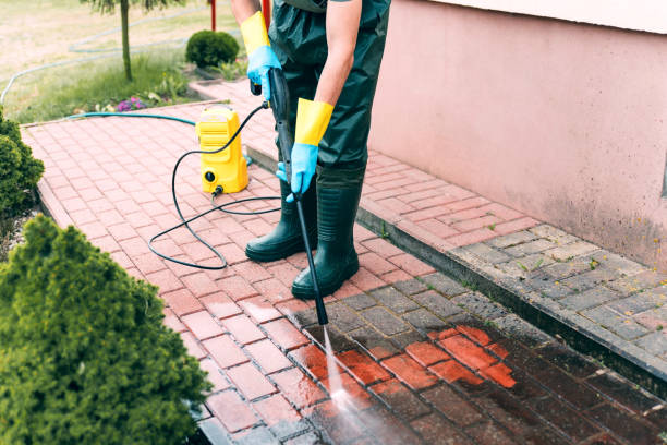 Best Dumpster Area Cleaning  in Trowbridge Park, MI